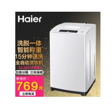 海尔EB65M019洗衣机 全自动波轮 家用筒自洁宿舍脱水机洗衣机 6.5KG 